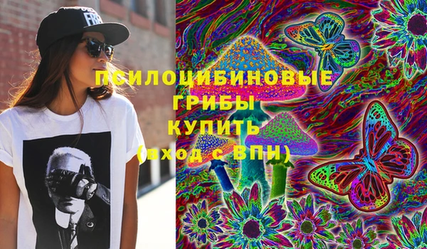spice Алексин